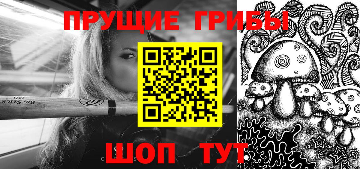 Людиново  Галлюциногенные грибы Cubensis  Вход с VPN 
