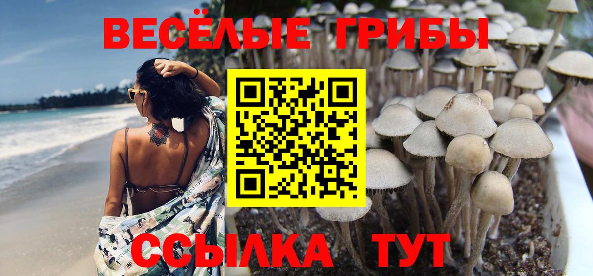 Галлюциногенные грибы Cubensis Людиново